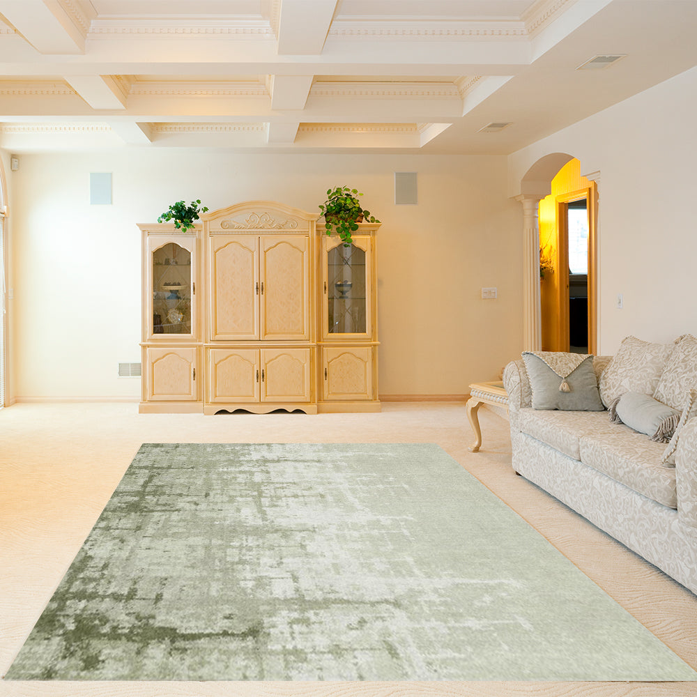 Easy to wash and restore carpets - Decorative Area Carpet for Home Décor